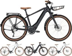 Bulls Sturmvogel-Evo 10 2020/2021