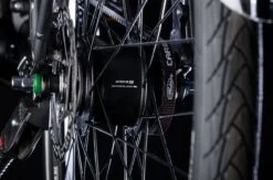 Bulls Lacuba-Evo Lite 5-Gang 2019 -E-Bike Geschäft Inter5