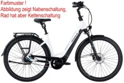 Pegasus Premio-Evo-10 Lite-Comfort 2021 -E-Bike Geschäft Pegasus Premio Evo 10 Lite Comfort 2021 Tiefeinstieg Unisex Damen Wave metallic off white black matt weiss schwarz 734 735 736 42645 42650 42655