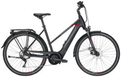 Pegasus Premio-Evo-10 2021 12 Pegasus Premio-Evo-10 2021 -E-Bike Geschäft Pegasus Premio Evo 10 2021 Damen Trapez black matt schwarz red rot 734 735 736 35745 35750 35755