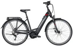 Pegasus Premio-Evo-10 2021 10 Pegasus Premio-Evo-10 2021 -E-Bike Geschäft Pegasus Premio Evo 10 2021 Tiefeinstieg Unisex Damen Wave black matt schwarz red rot 734 735 736 36145 36150 36155