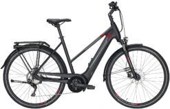 Pegasus Premio-Evo-10 2020 -E-Bike Geschäft Pegasus Premio Evo 10 Damen Trapez black matt grey red 714 715 716 49745 49750 49755