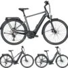 Pegasus Premio-Evo-12 Lite 2020 2 Pegasus Premio-Evo-12 Lite 2020 -E-Bike Geschäft Pegasus Premio Evo 12 Lite 2020 black chrome black matt Bosch Performanceline CX 400Wh 500Wh 625Wh