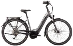 Pegasus Strong Evo-10 2021 8 Pegasus Strong Evo-10 2021 -E-Bike Geschäft Pegasus Strong Evo 10 2021 Tiefeinstieg Unisex Damen Wave black chrome matt schwarz chrom 734 735 736 61245 61250 61255 61260
