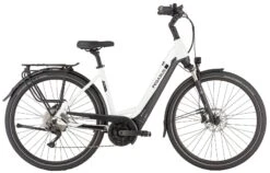 Pegasus Strong Evo-10 2021 9 Pegasus Strong Evo-10 2021 -E-Bike Geschäft Pegasus Strong Evo 10 2021 Tiefeinstieg Unisex Damen Wave offwhite black matt weiss schwarz 734 735 736 61345 61350 61355 61360