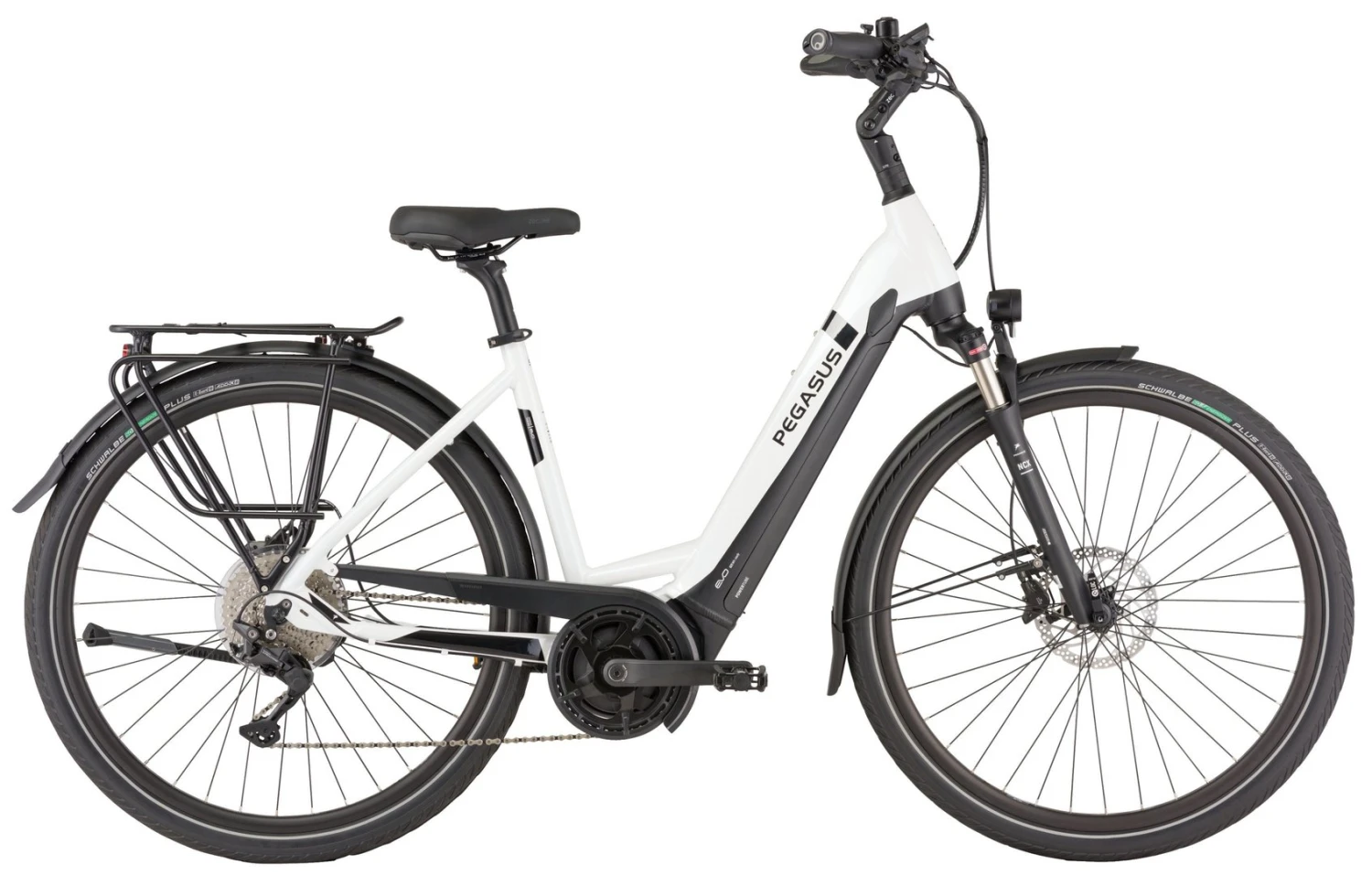 Pegasus Strong Evo-10 2021 6 Pegasus Strong Evo-10 2021 - Image 4