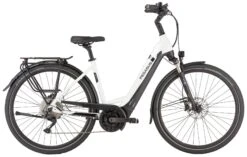 Pegasus Strong-Evo-10 2022 9 Pegasus Strong-Evo-10 2022 -E-Bike Geschäft Pegasus Strong Evo 10 2022 Tiefeinstieg Unisex Damen Wave metallic off white black matt weiss schwarz 644 645 646 55845 55850 55855 55860