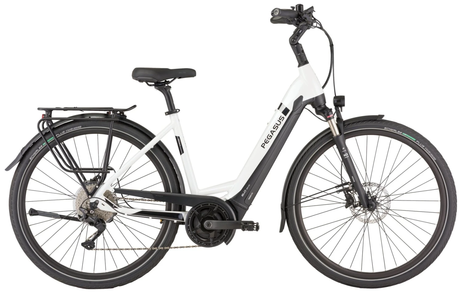 Pegasus Strong-Evo-10 2022 6 Pegasus Strong-Evo-10 2022 - Image 4