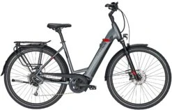 Pegasus Strong Evo-9 2020 7 Pegasus Strong Evo-9 2020 -E-Bike Geschäft Pegasus Strong Evo 9 2020 Damen Wave grau matt schwarz rot 714 715 716 68445 68450 68455 68460